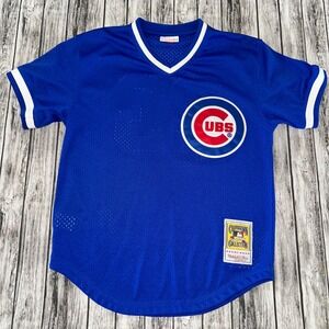 Mitchell & Ness Mens Blue Chicago Cubs Ryne Sandberg #23 Authentic Jersey Size M